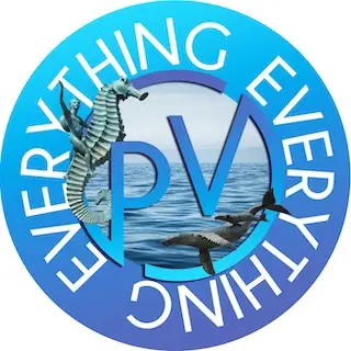 PV Everything: A Travel & Media Company in Puerto Vallarta, Mexico