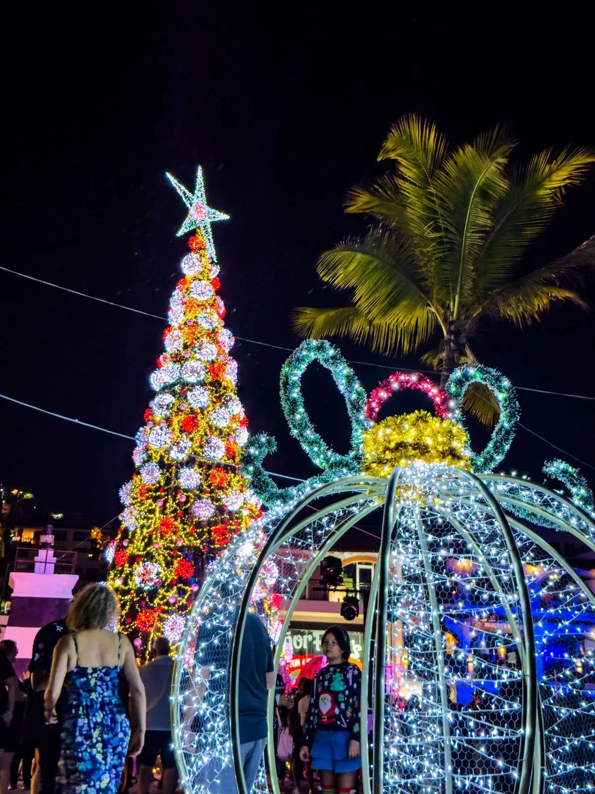 Christmas Dinner Options in Puerto Vallarta