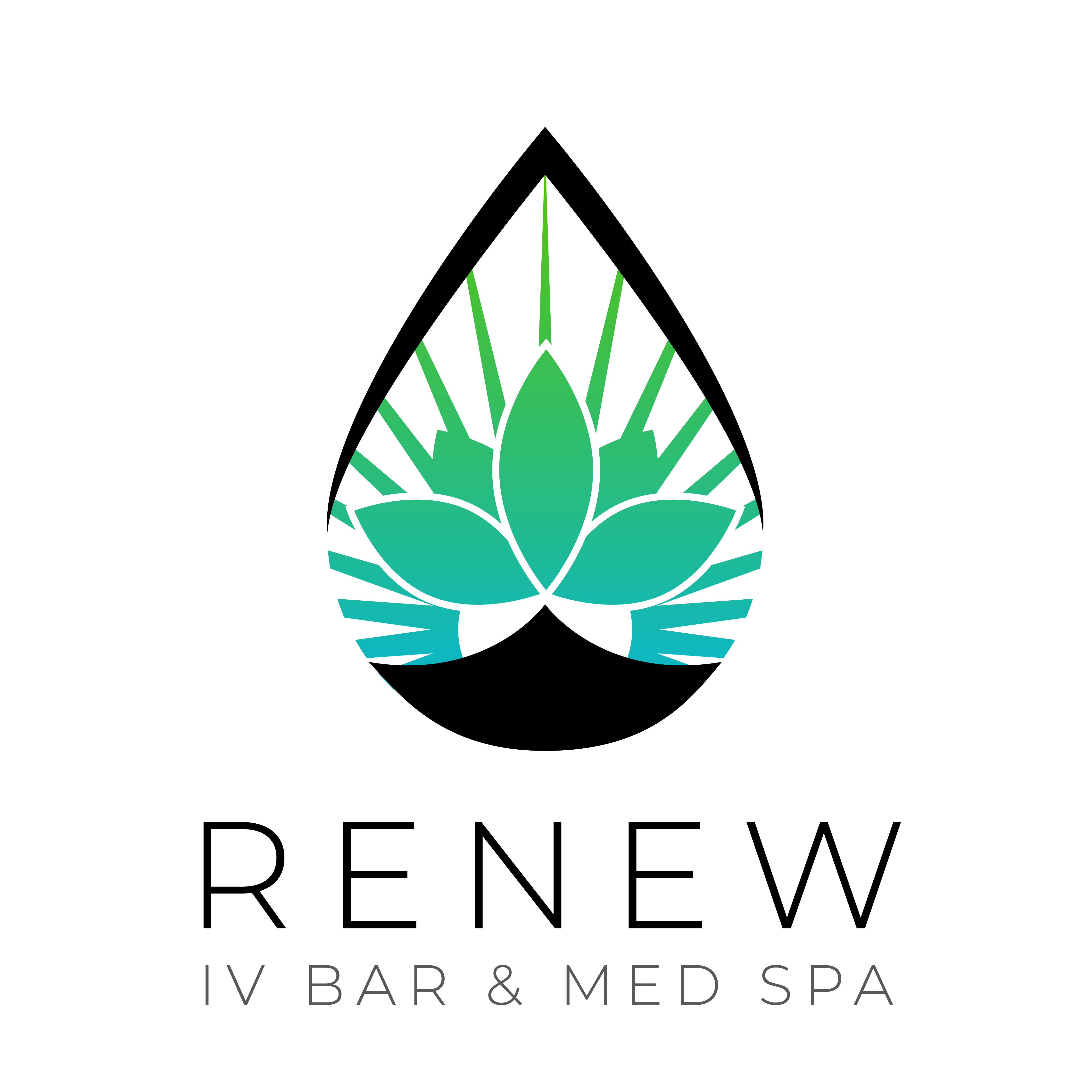 RenewMedSpa_Logo-01