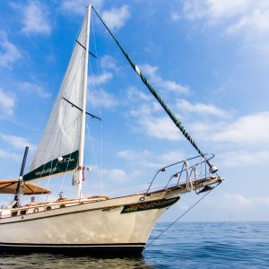 Ada-Sailing-44